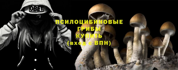 наркотики Алексин